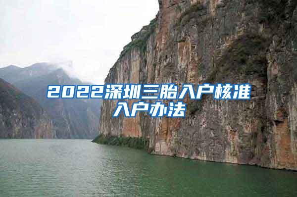 2022深圳三胎入户核准入户办法