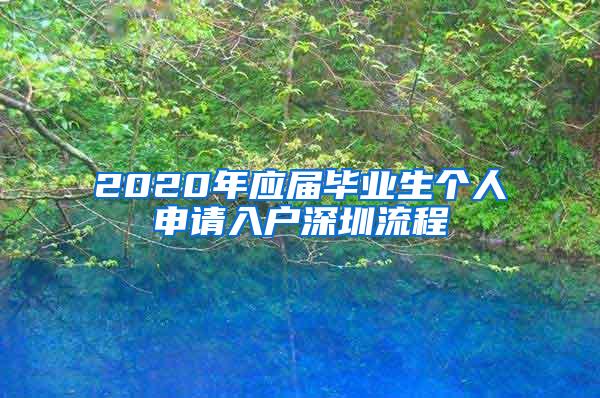 2020年应届毕业生个人申请入户深圳流程