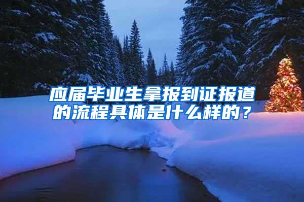 应届毕业生拿报到证报道的流程具体是什么样的？