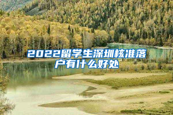 2022留学生深圳核准落户有什么好处