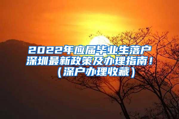 2022年应届毕业生落户深圳最新政策及办理指南！（深户办理收藏）