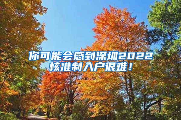 你可能会感到深圳2022核准制入户很难！