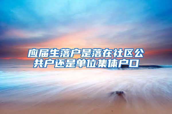 应届生落户是落在社区公共户还是单位集体户口