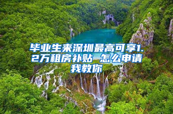 毕业生来深圳最高可享1.2万租房补贴 怎么申请我教你