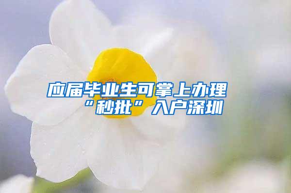 应届毕业生可掌上办理“秒批”入户深圳