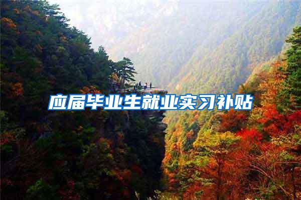 应届毕业生就业实习补贴