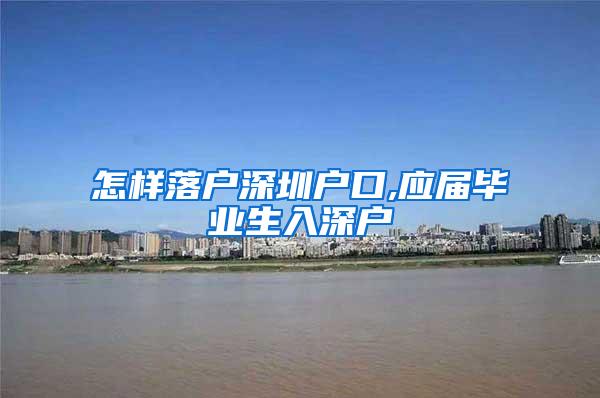 怎样落户深圳户口,应届毕业生入深户