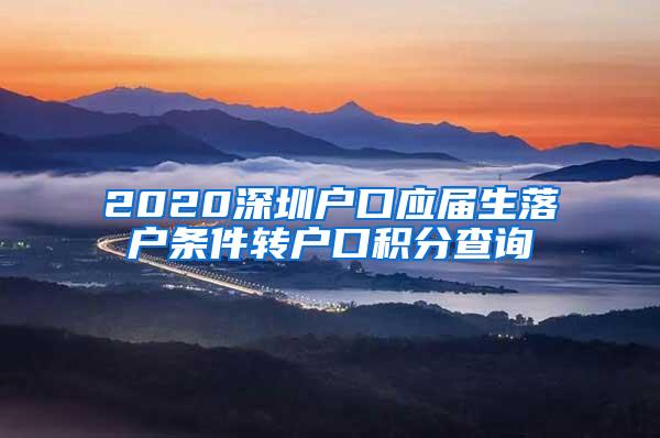 2020深圳户口应届生落户条件转户口积分查询