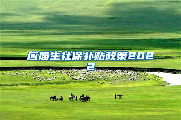 应届生社保补贴政策2022