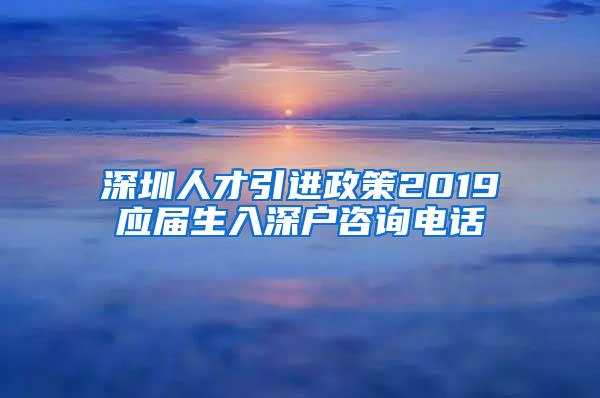 深圳人才引进政策2019应届生入深户咨询电话