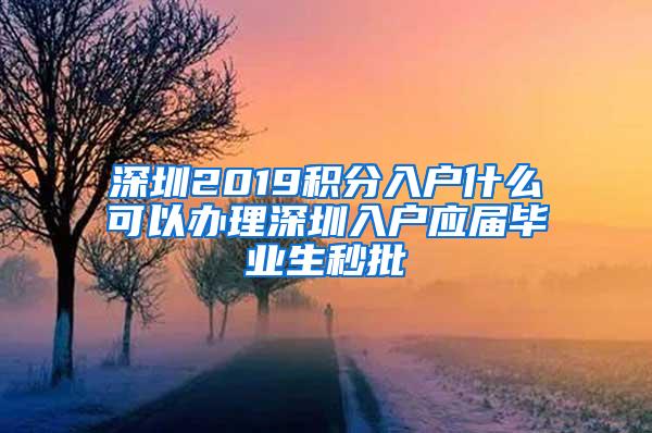 深圳2019积分入户什么可以办理深圳入户应届毕业生秒批