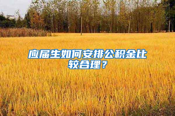 应届生如何安排公积金比较合理？