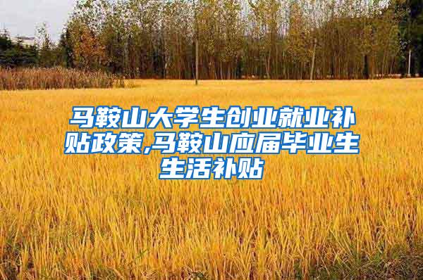 马鞍山大学生创业就业补贴政策,马鞍山应届毕业生生活补贴