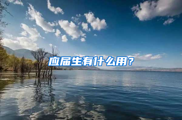 应届生有什么用？