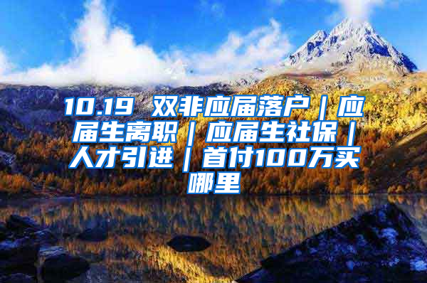 10.19 双非应届落户｜应届生离职｜应届生社保｜人才引进｜首付100万买哪里