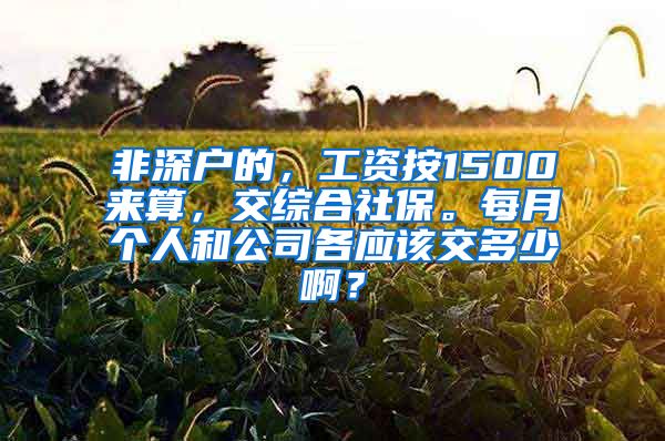 非深户的，工资按1500来算，交综合社保。每月个人和公司各应该交多少啊？