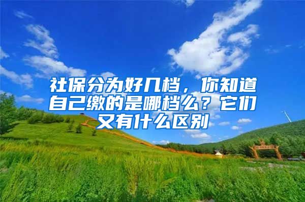 社保分为好几档，你知道自己缴的是哪档么？它们又有什么区别