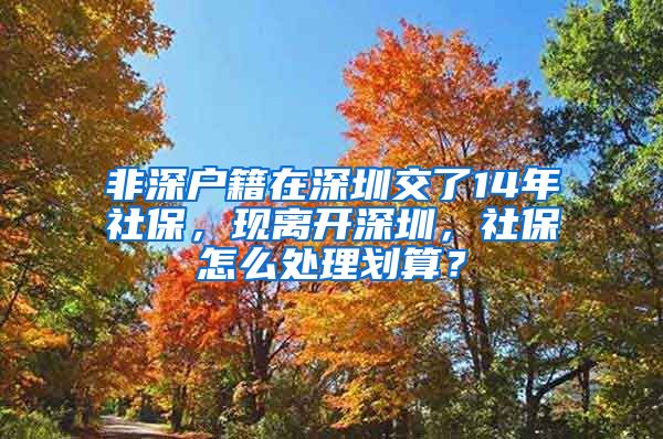 非深户籍在深圳交了14年社保，现离开深圳，社保怎么处理划算？