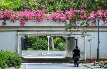 深圳罗湖区港澳台居民居住证补办地点 深圳罗湖区港澳台居民居住证补办地点