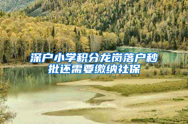 深户小学积分龙岗落户秒批还需要缴纳社保