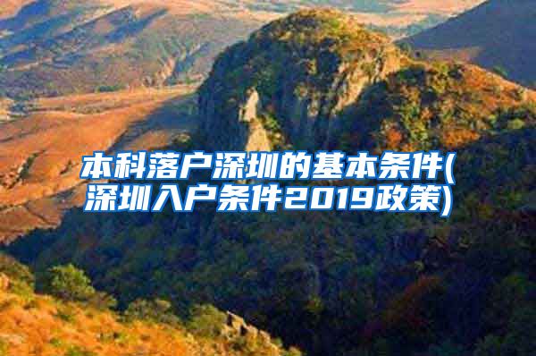 本科落户深圳的基本条件(深圳入户条件2019政策)