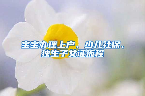 宝宝办理上户、少儿社保、独生子女证流程