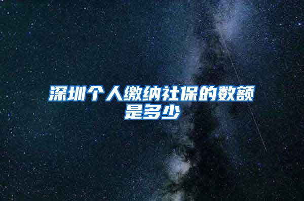 深圳个人缴纳社保的数额是多少