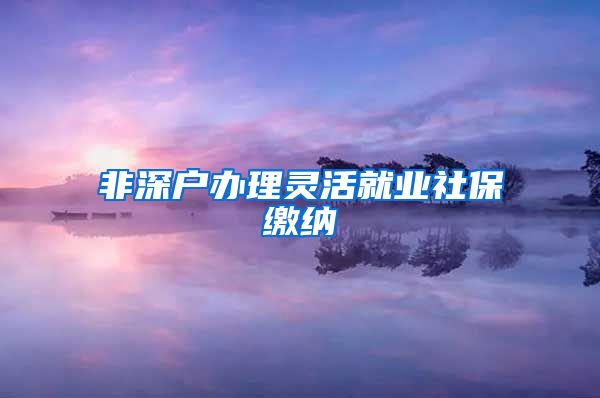 非深户办理灵活就业社保缴纳