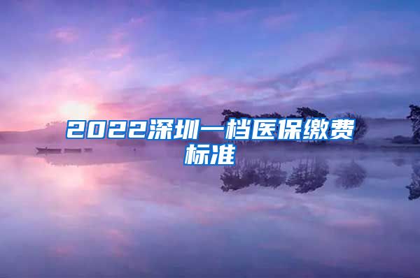 2022深圳一档医保缴费标准