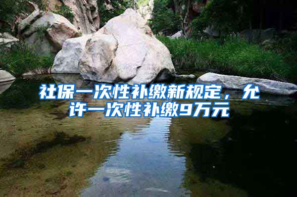 社保一次性补缴新规定，允许一次性补缴9万元