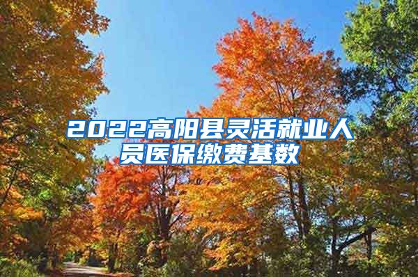 2022高阳县灵活就业人员医保缴费基数