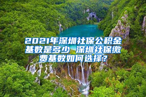 2021年深圳社保公积金基数是多少 深圳社保缴费基数如何选择？