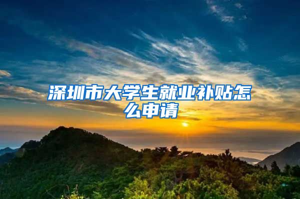 深圳市大学生就业补贴怎么申请