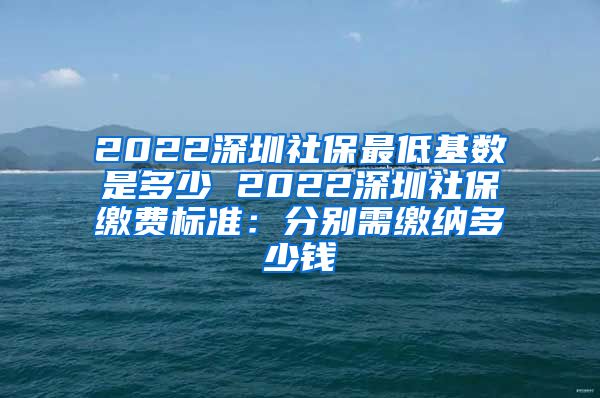 2022深圳社保最低基数是多少 2022深圳社保缴费标准：分别需缴纳多少钱