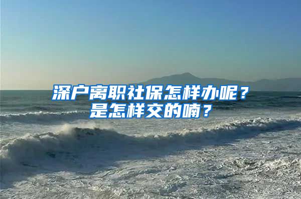 深户离职社保怎样办呢？是怎样交的喃？