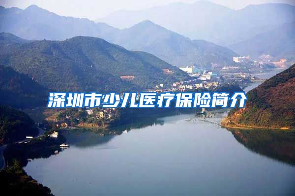 深圳市少儿医疗保险简介