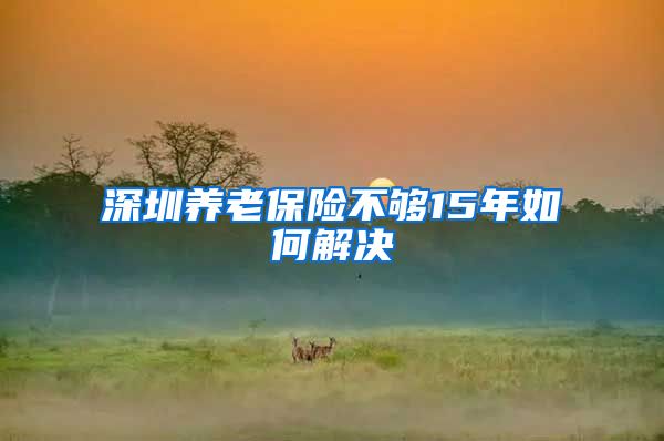 深圳养老保险不够15年如何解决