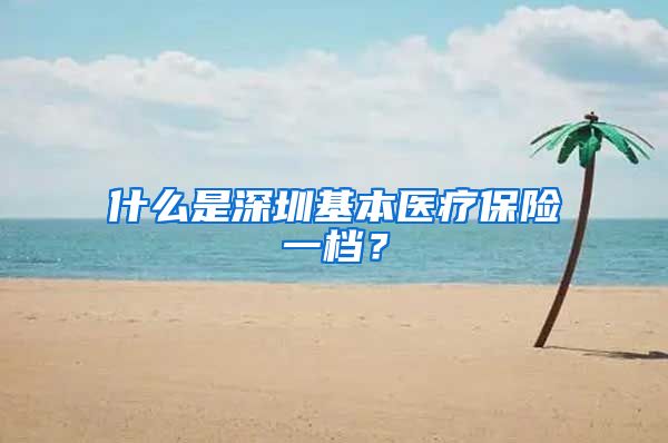 什么是深圳基本医疗保险一档？