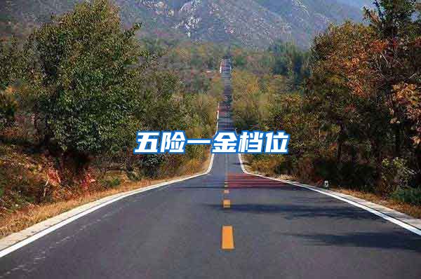 五险一金档位