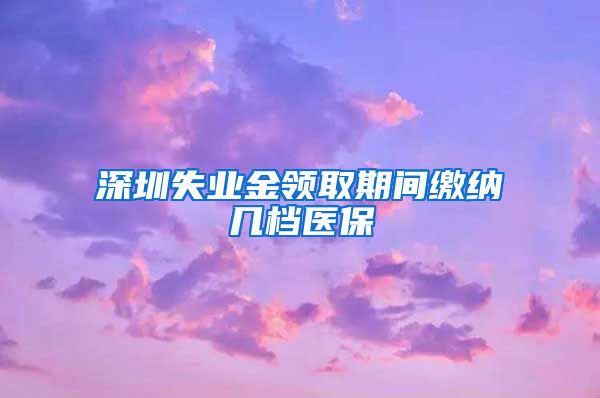 深圳失业金领取期间缴纳几档医保