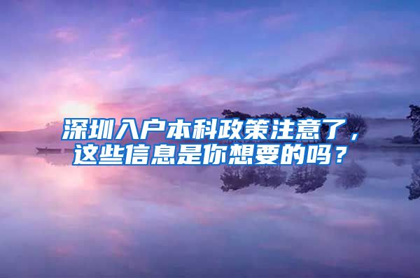 深圳入户本科政策注意了，这些信息是你想要的吗？