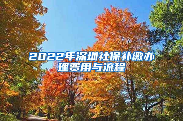 2022年深圳社保补缴办理费用与流程