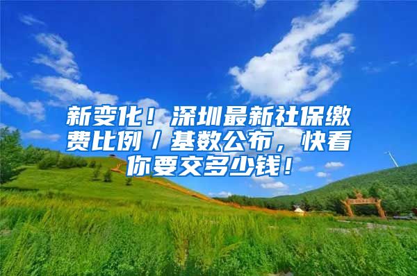 新变化！深圳最新社保缴费比例／基数公布，快看你要交多少钱！