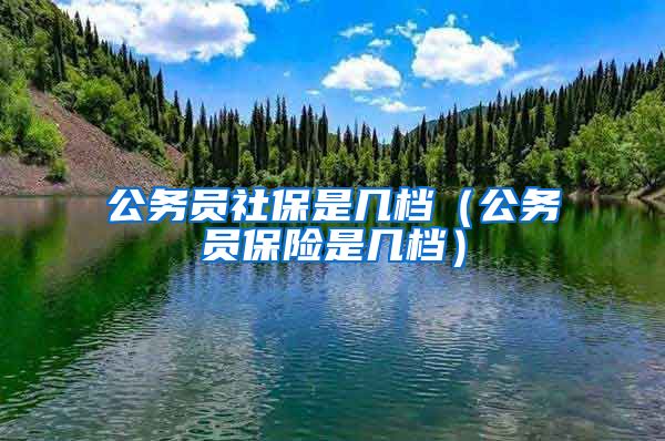 公务员社保是几档（公务员保险是几档）