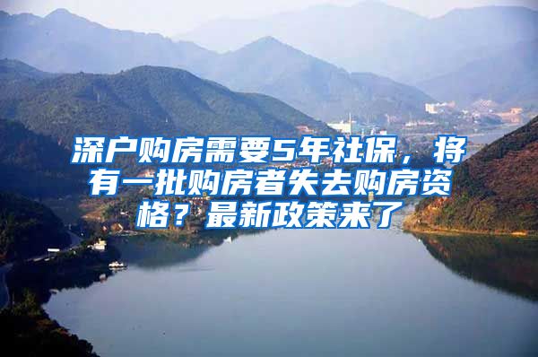 深户购房需要5年社保，将有一批购房者失去购房资格？最新政策来了