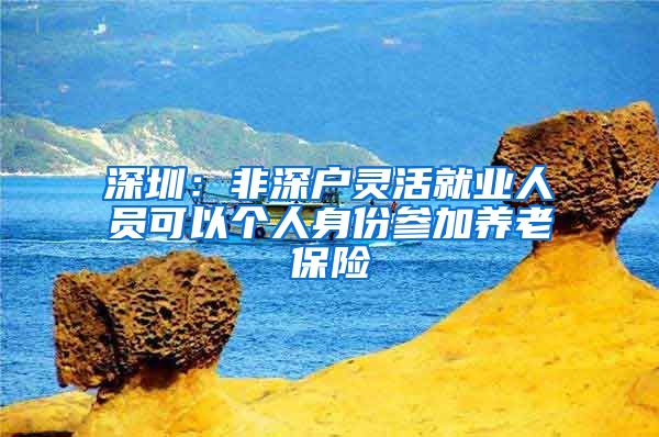 深圳：非深户灵活就业人员可以个人身份参加养老保险