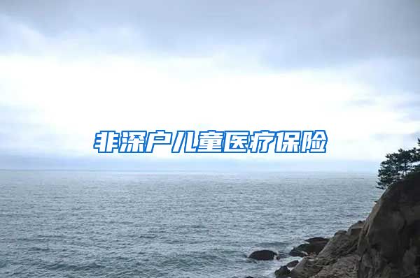 非深户儿童医疗保险