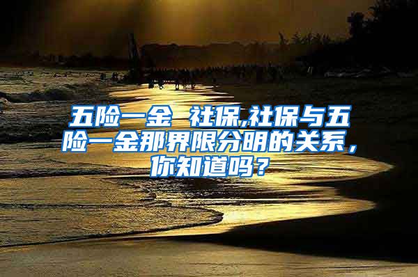 五险一金 社保,社保与五险一金那界限分明的关系，你知道吗？