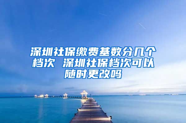 深圳社保缴费基数分几个档次 深圳社保档次可以随时更改吗