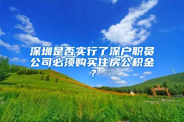 深圳是否实行了深户职员公司必须购买住房公积金？